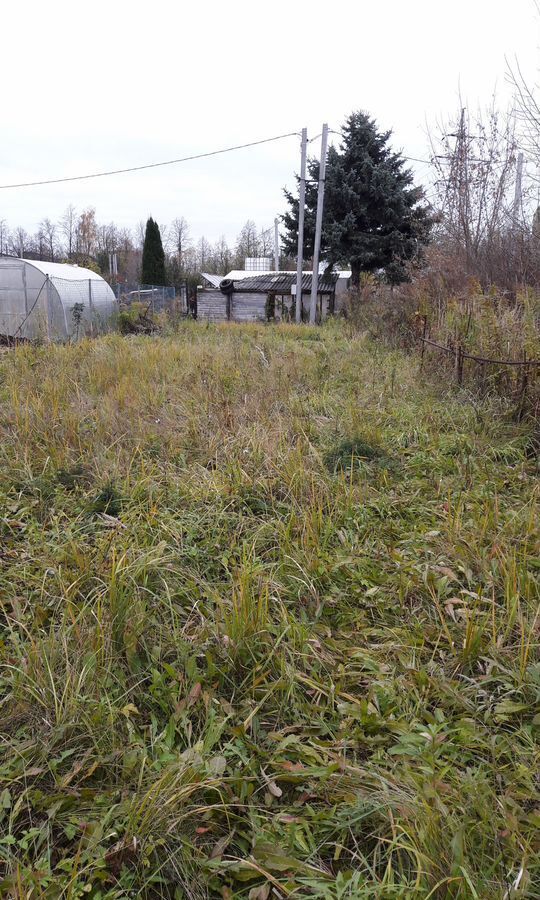 земля р-н Городецкий г Заволжье Больница № 1, садоводческое товарищество фото 4