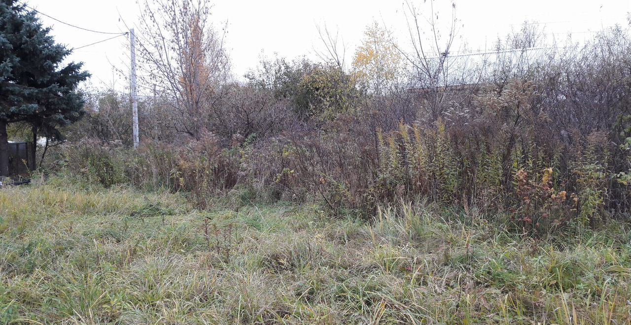 земля р-н Городецкий г Заволжье Больница № 1, садоводческое товарищество фото 5