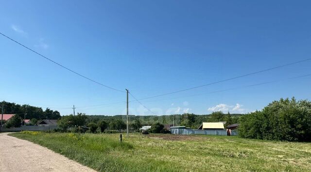 с Введенская Слобода ул Татарстан Введенско-Слободское с/пос фото