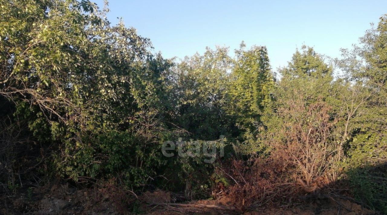 земля г Саранск ст Ялга снт Свердловец фото 1