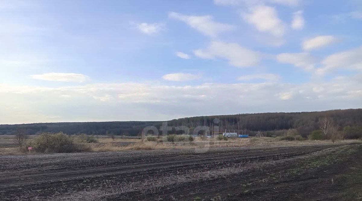 земля г Саранск п Добровольный 11/1 фото 4