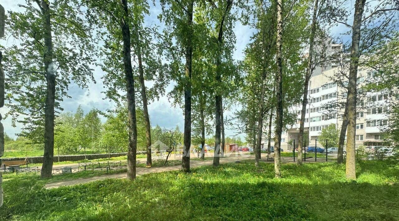 квартира г Санкт-Петербург п Понтонный ш Вознесенское метро Рыбацкое 53, Колпино фото 13