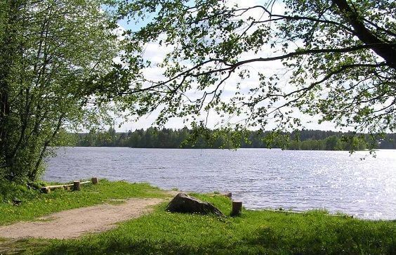 Трасса Сортавала, 54 км, Сосновское сельское поселение, Сосново фото