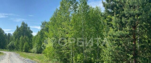 земля Новокаменский кп, ул. Васнецова фото