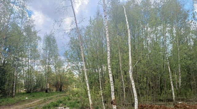 земля ул Лейтенанта Алексеева фото