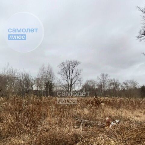 пгт Артемовский снт Диомид-1 1 фото