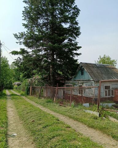 п 18 км снт тер.Целинник 59, Хабаровск фото
