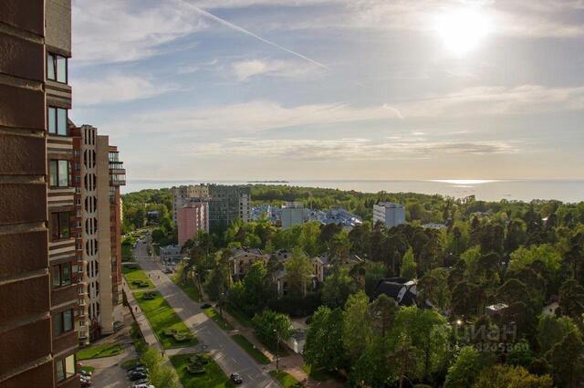 г Сестрорецк ул Токарева 24 р-н Курортный Ленинградская область фото