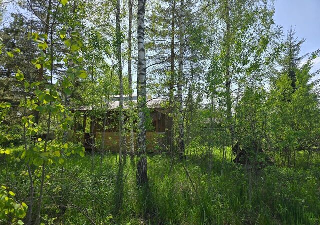 77 км, садовое товарищество Стрелка, 133, Дмитровское шоссе фото