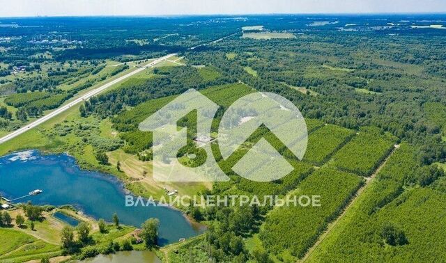 п Барлакский сельсовет, Сокур фото