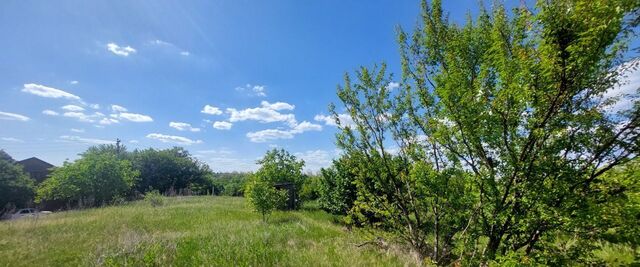 сад Факел СКВО Чалтырское с/пос, 668 фото
