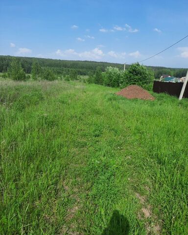 земля Буревестник фото