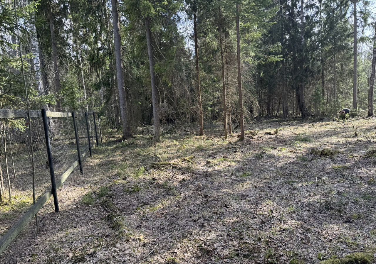 земля городской округ Талдомский г Талдом снт Академия 77 км, 47, Вербилки, Дмитровское шоссе фото 4