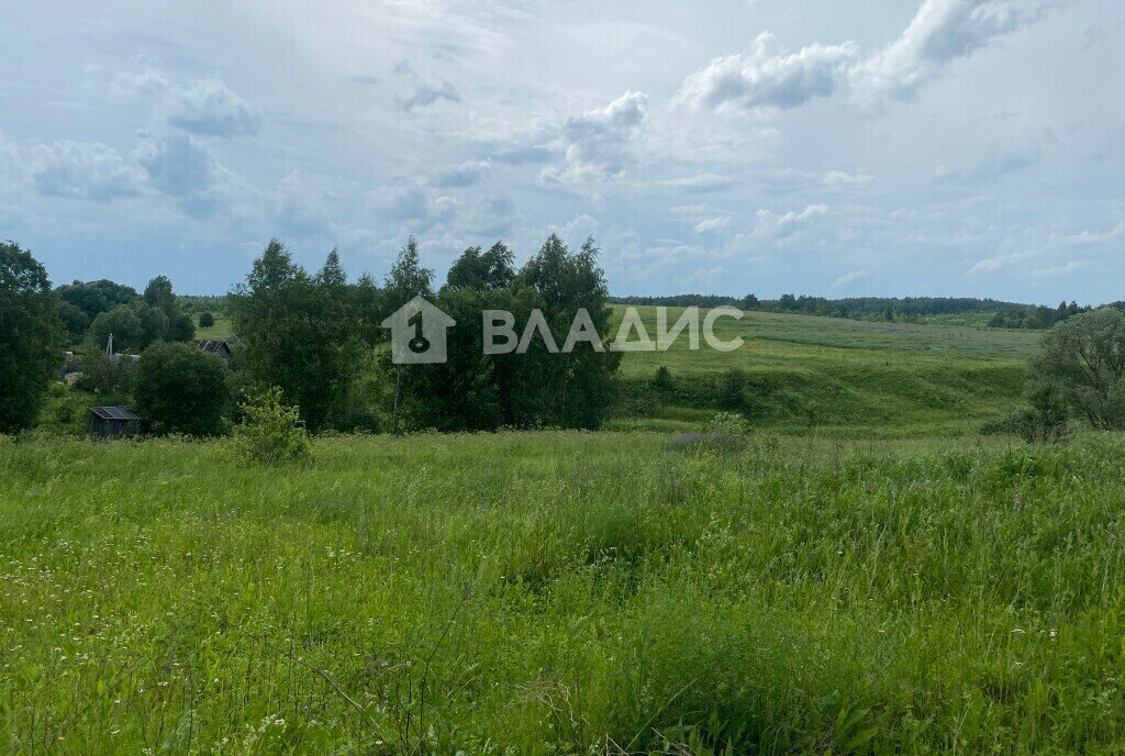 земля г Владимир с Мосино фото 1