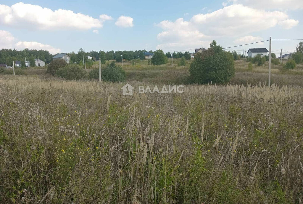 земля г Владимир с Мосино фото 4