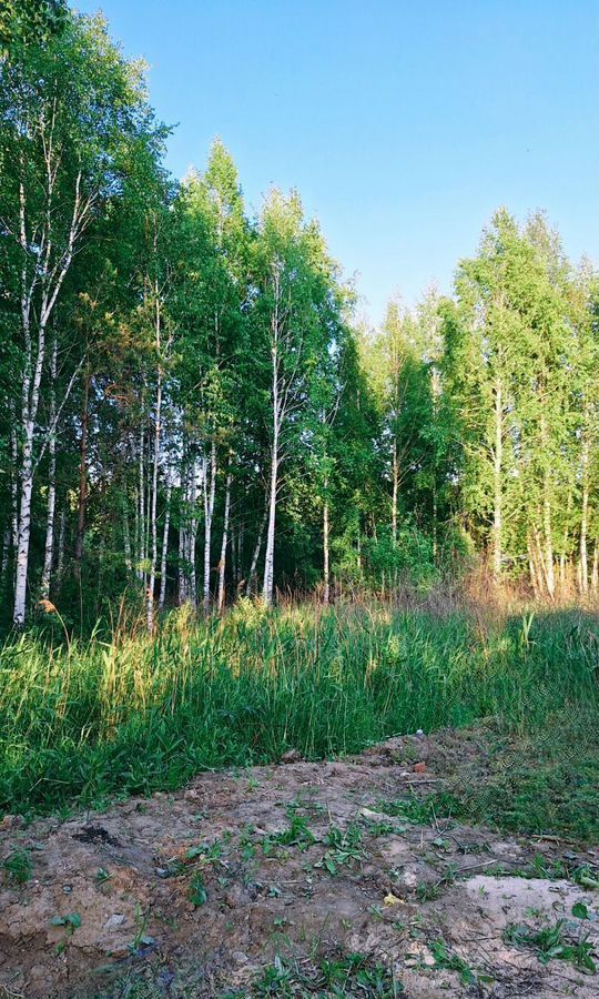 дом г Тюмень снт Липовый остров ул Западная 2-я фото 17