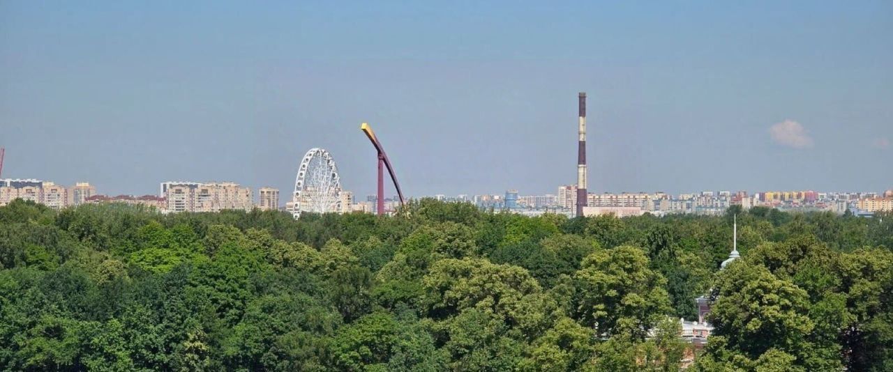 квартира г Санкт-Петербург метро Крестовский Остров пр-кт Петровский 9к/2 фото 25
