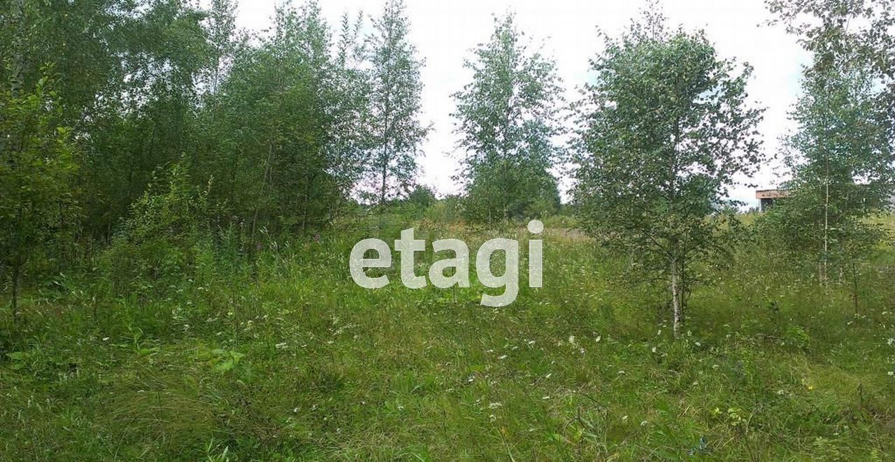 земля г Нижний Тагил р-н Тагилстроевский ул 4-я Лазурная 21 фото 1
