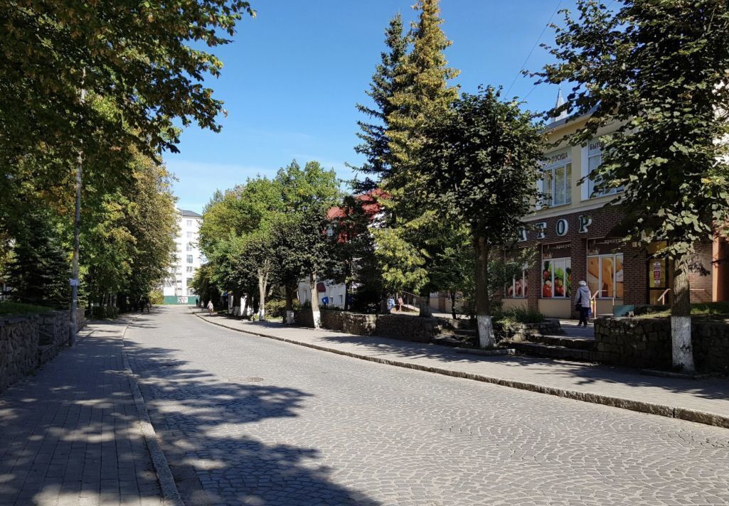 квартира г Пионерский ул Комсомольская 19 фото 4