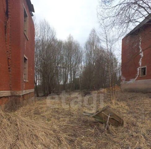 д Михайловское фото
