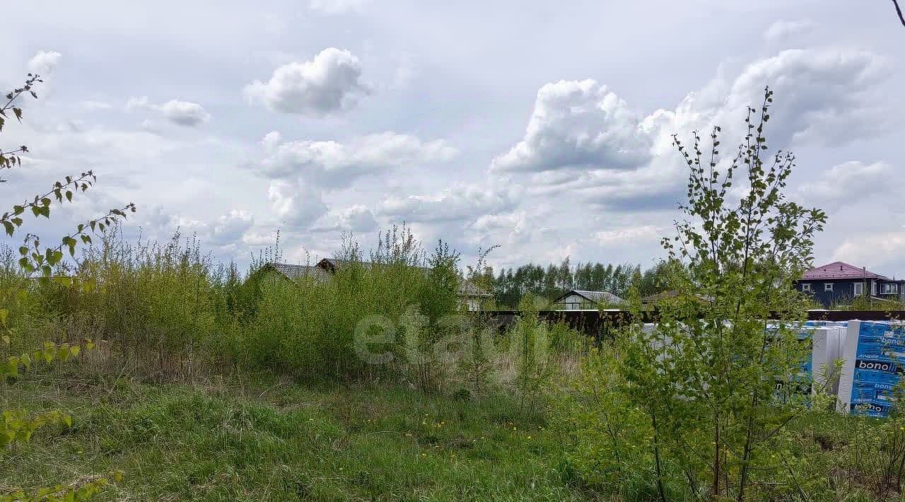 земля г Истра Корсат дп, ул. Великая, Нахабино фото 4