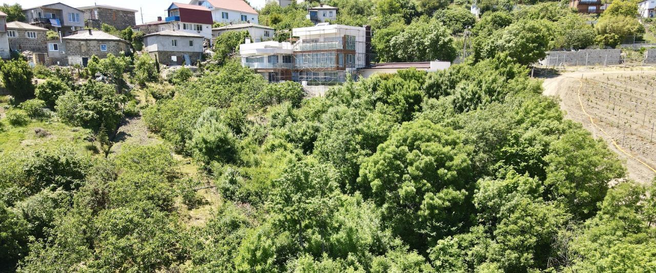 земля г Алушта с Лавровое ул Фрунзенская фото 8