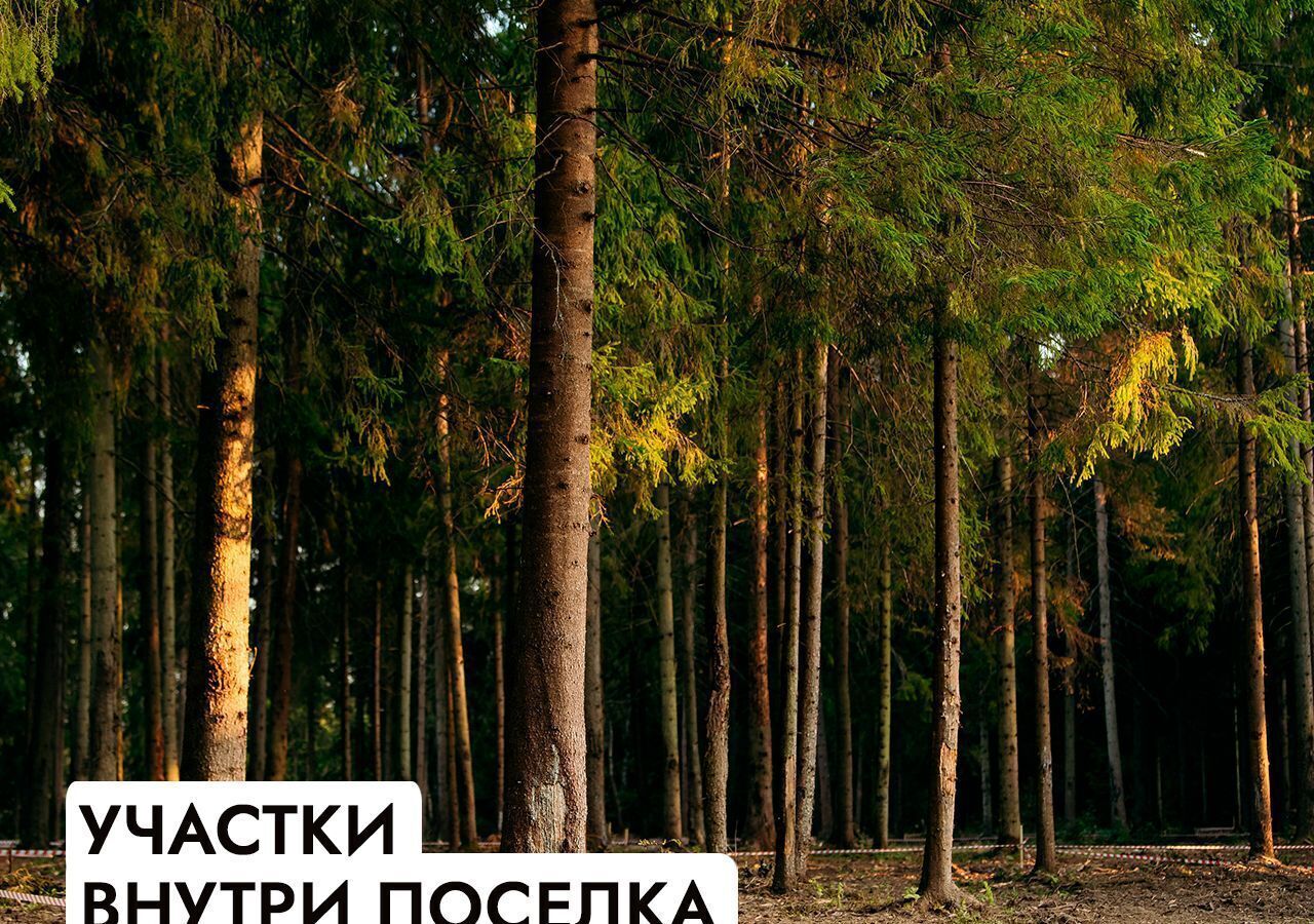 земля г Клин 54 км, эко-посёлок Ели эстейт, Новопетровское, Ленинградское шоссе фото 26
