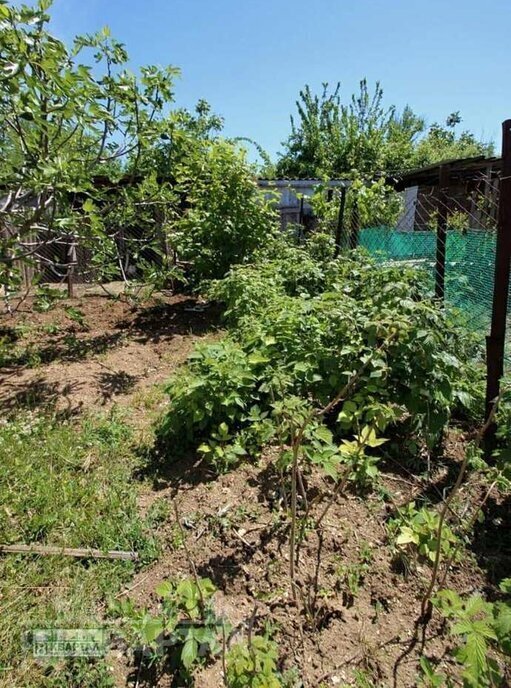дом г Новороссийск ст-ца Раевская ул Суворова фото 20