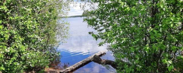 ул Поляна 2 4 фото