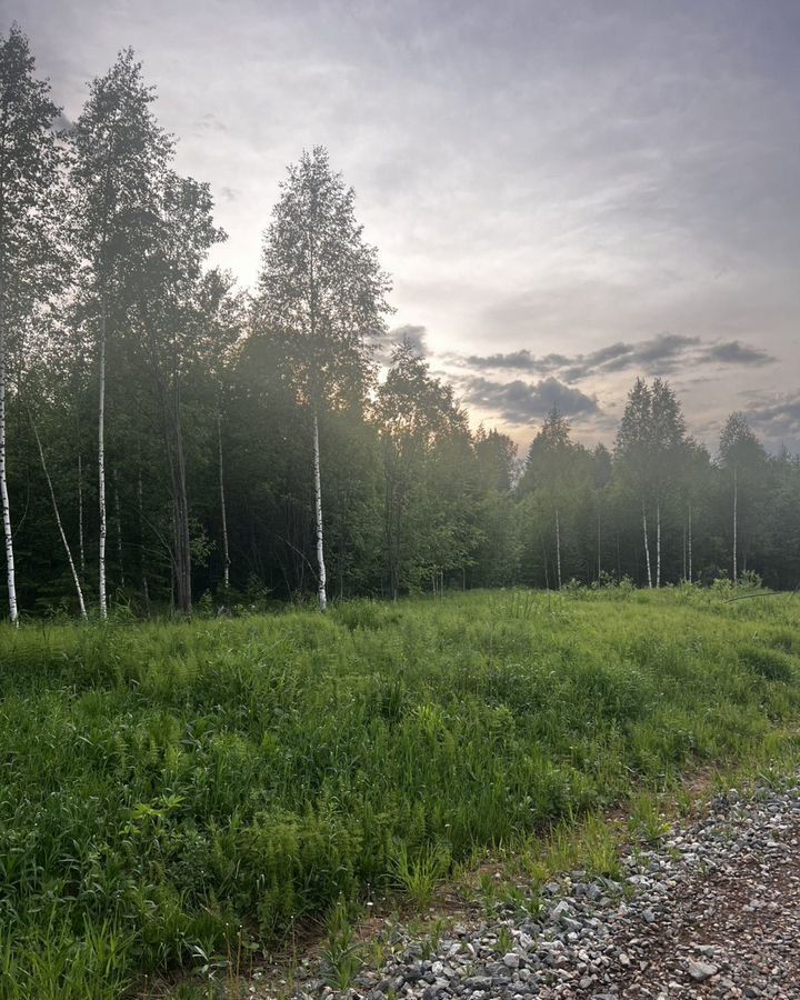 земля г Добрянка д Бобки загородный пос. Фэмили Парк Бобки-2, Пермь фото 3