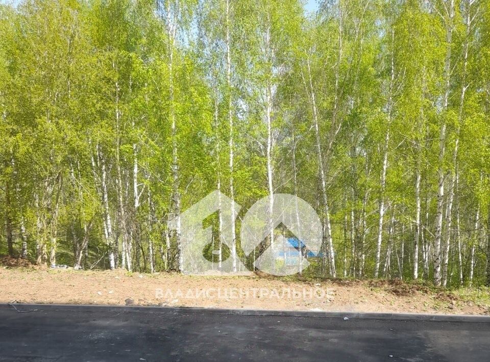 квартира г Новосибирск Золотая Нива ул В.Высоцкого 144/2 фото 7