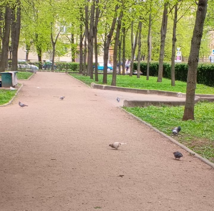 комната г Санкт-Петербург метро Московская ул Гастелло 14 фото 2