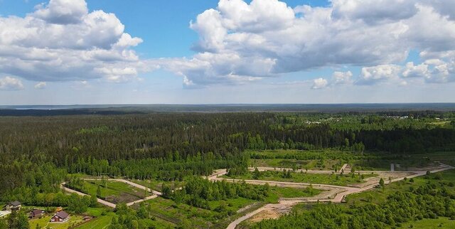 Выборгское шоссе, 34 км, Рощинское городское поселение, Рощино фото
