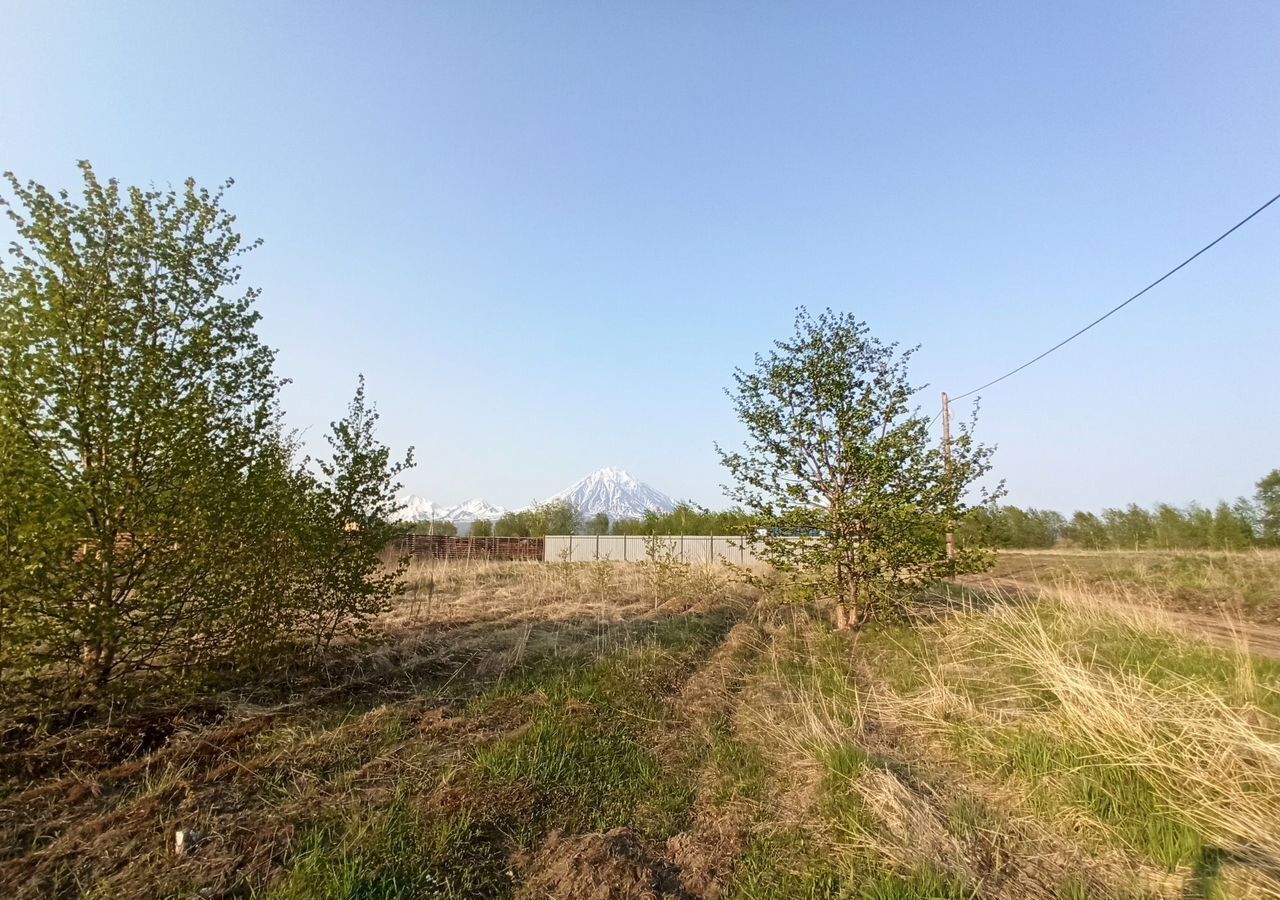земля р-н Елизовский г Елизово Елизовское городское поселение, мкр-н Заречный фото 3