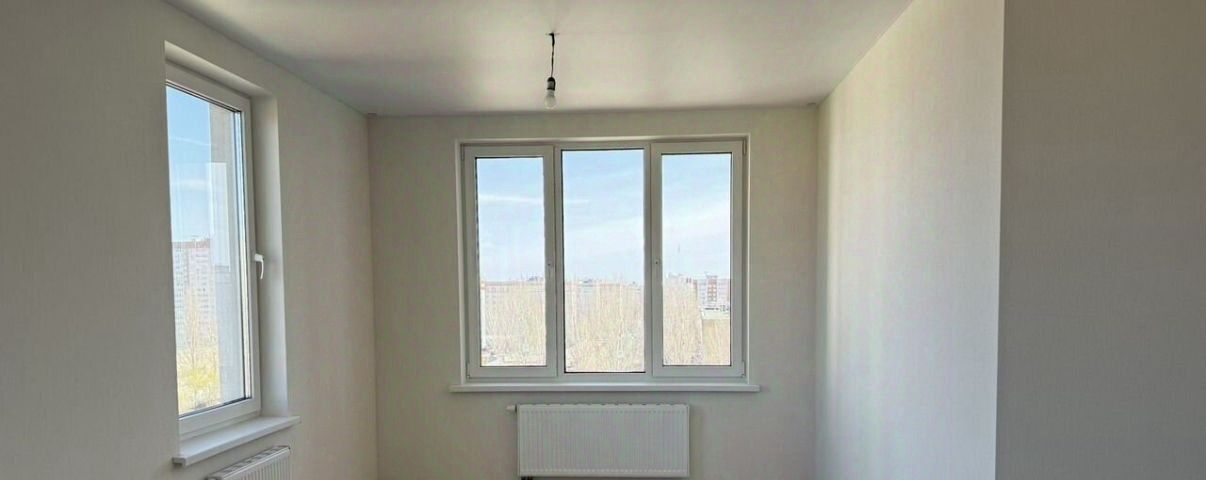 квартира г Воронеж р-н Центральный ул Ломоносова 116б фото 15