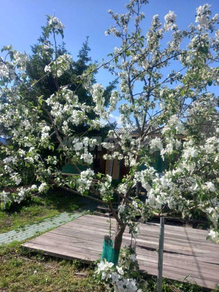 дом г Новосибирск р-н Дзержинский пр-кт Дзержинского 174 фото 13