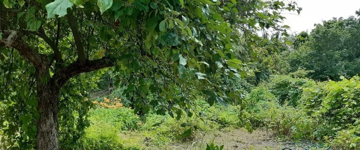 земля г Аткарск снт Огонек фото 4