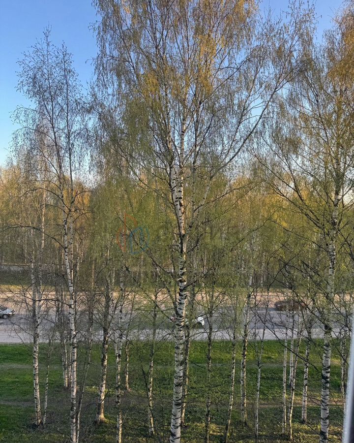 квартира г Архангельск р-н округ Майская Горка пр-кт Ленинградский 113 фото 9