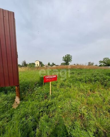 Еврейская автономная обл., Смидовичский р-н, СНТ Заречье фото