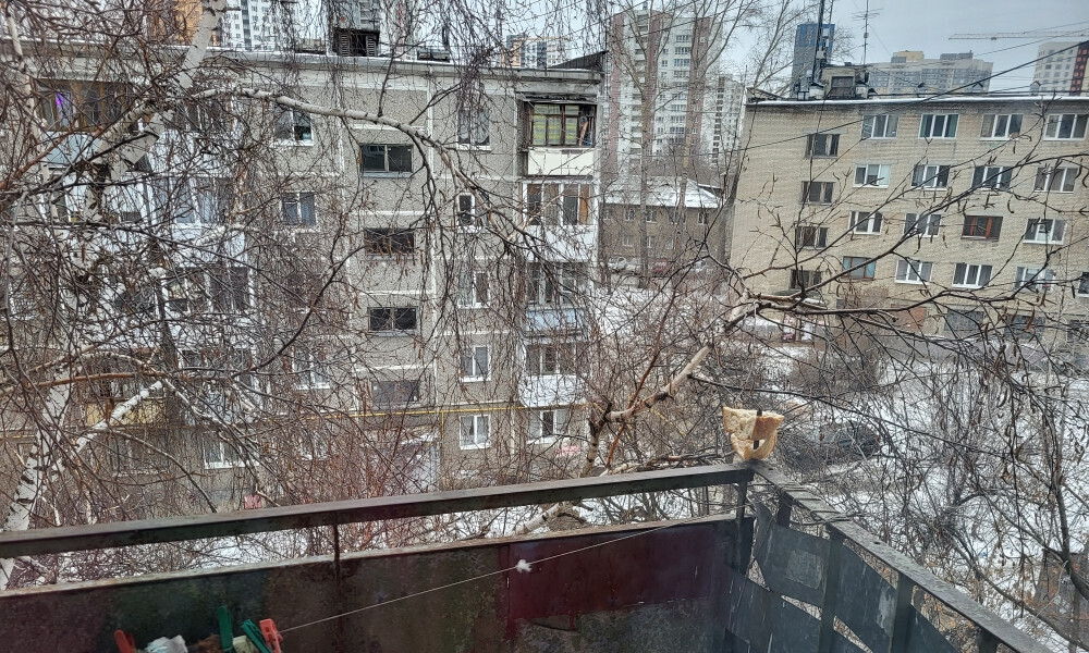 квартира г Екатеринбург Ботаническая Уктус ул Щербакова 5/2 м-н фото 8