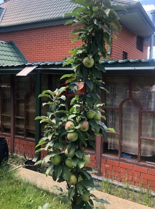 дом г Старый Оскол ул Кленовая фото 9