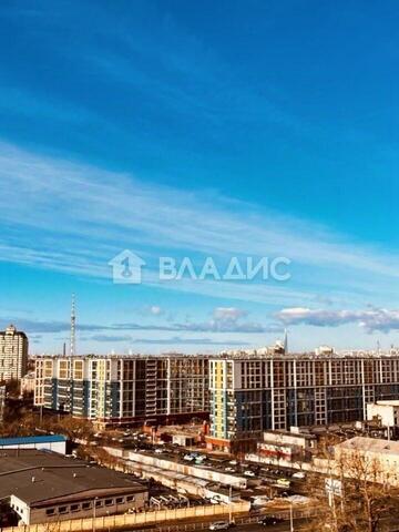 пр-кт Маршала Блюхера Ленинградская область фото