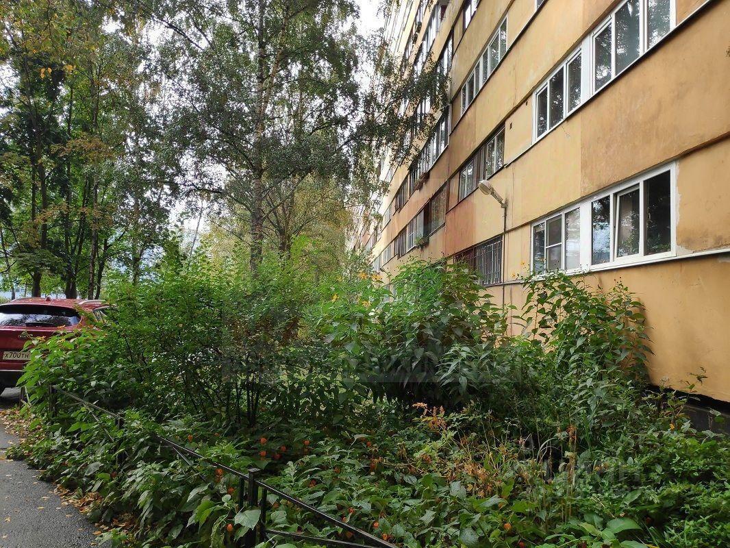 квартира г Санкт-Петербург пр-кт Кузнецова 25/1 Ленинградская область фото 13