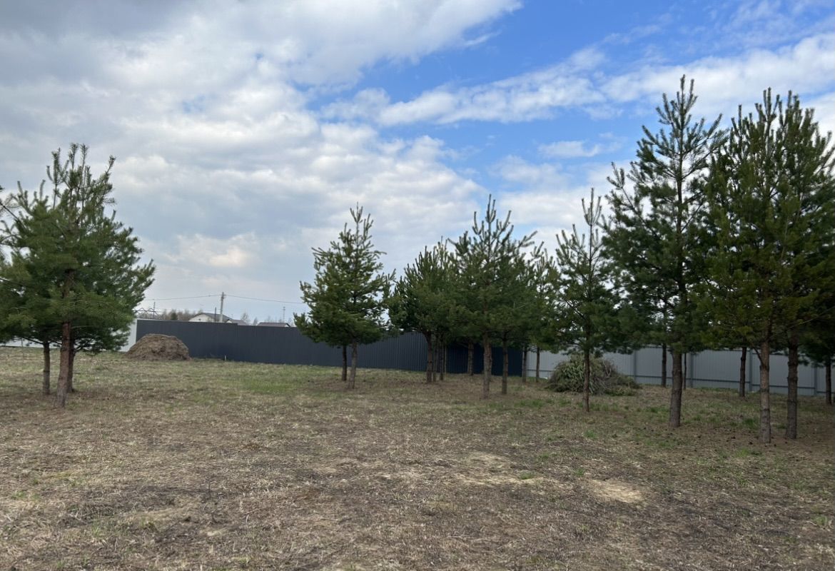 земля городской округ Богородский г Ногинск 51 км, д. Тимково, Горьковское шоссе фото 2