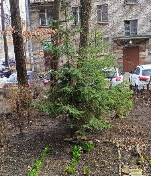 квартира г Санкт-Петербург Выборгская сторона Черная Речка ул Сердобольская 41 округ Ланское фото 15