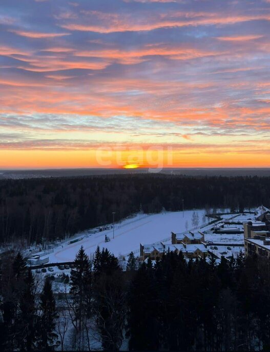 квартира г Обнинск пр-кт Ленина 209 фото 17