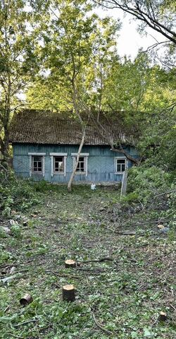 ул Центральная 29 Корневское сельское поселение, Скопин фото