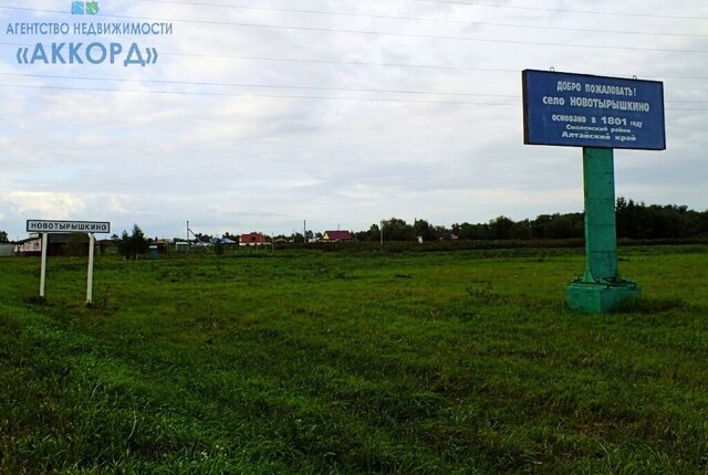 земля с Новотырышкино ул Гагарина фото