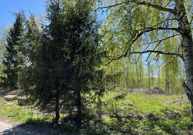 Приозерское шоссе, 5 км, Бугровское сельское поселение, Санкт-Петербург фото