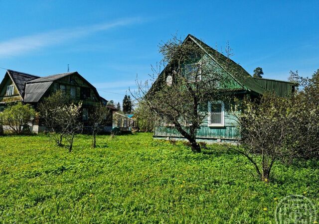 46 км, Гатчинский р-н, Вырицкое городское поселение, городской пос. Вырица, Киевское шоссе фото